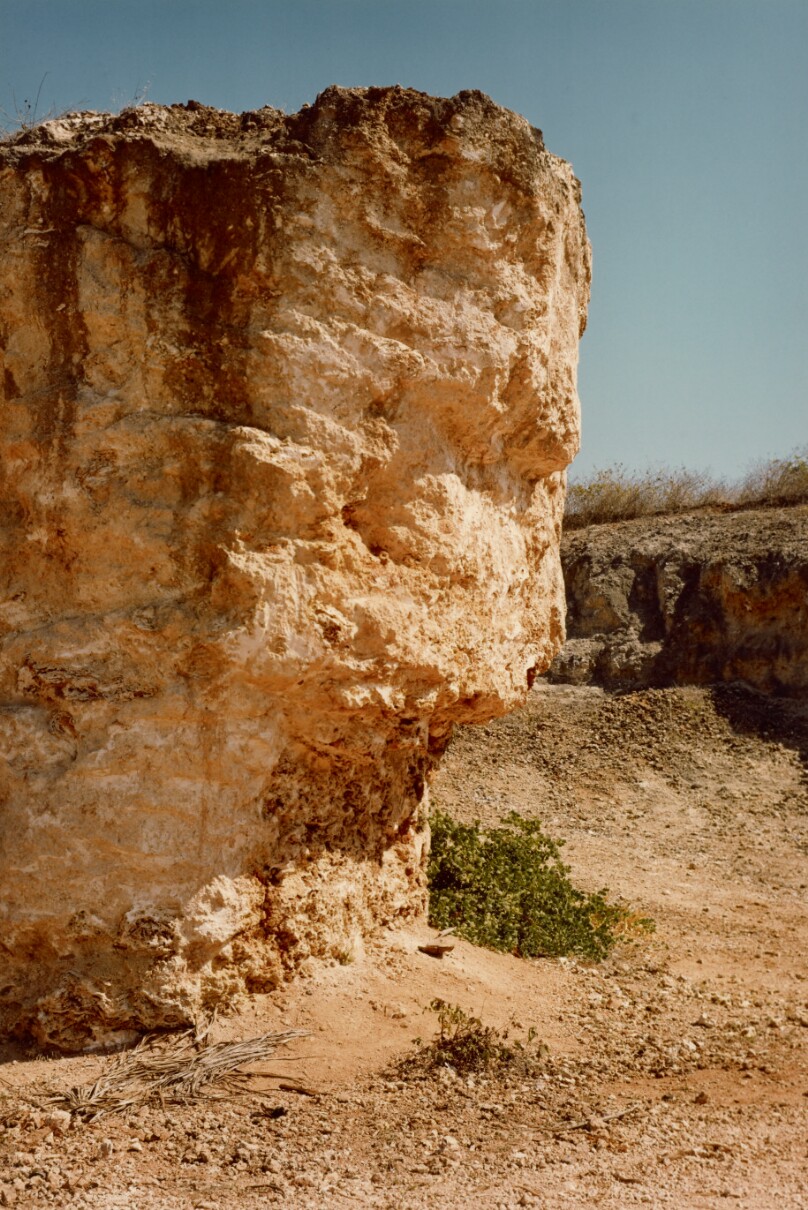 [Rock Study]