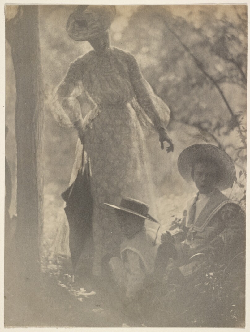 [Woman with Two Boys in the Woods]