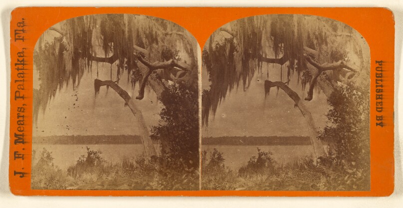 [St. John's River near Palatka, Florida]