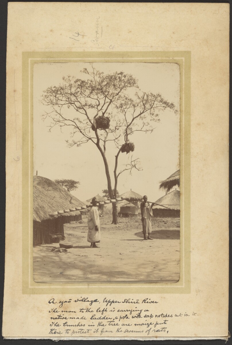 A Well-Kept Village