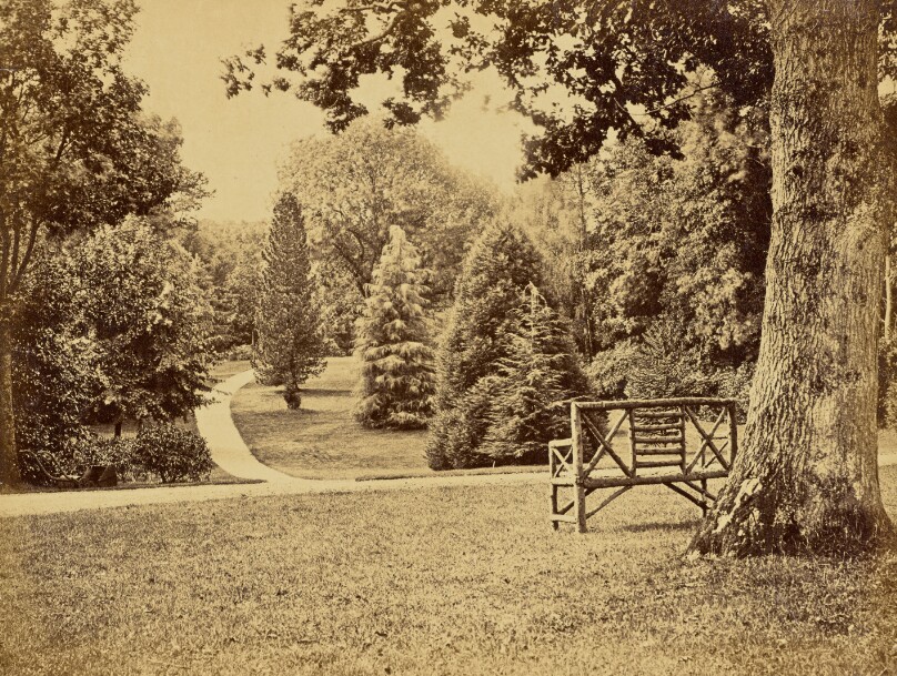 [Wooden Bench in Park]