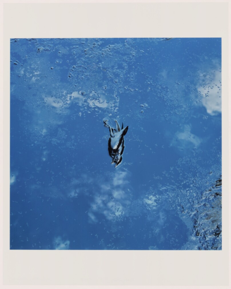 Everything #6