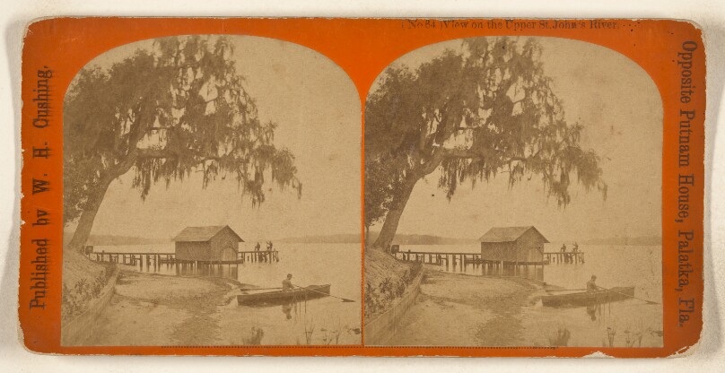 View on the Upper St. John's River. [Florida]