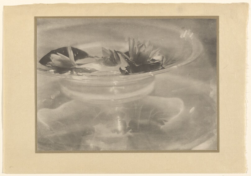 [Glass bowl with water lilies]