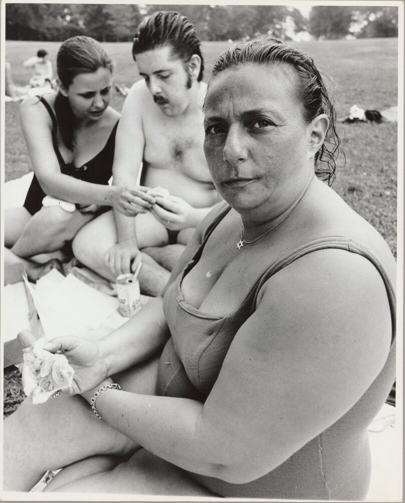 Family Picnic, Bronx, NY