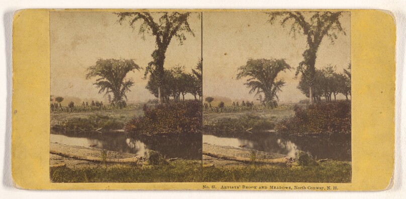 Artists' Brook and Meadows, North Conway, N.H.