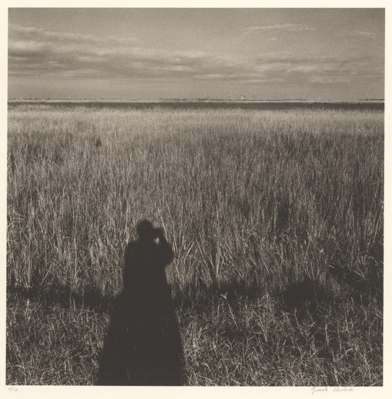 Carretera 308: De Golden Meadow a Grand Isle, Louisiana