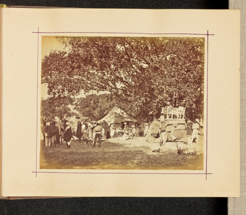 [Hunting Camp]