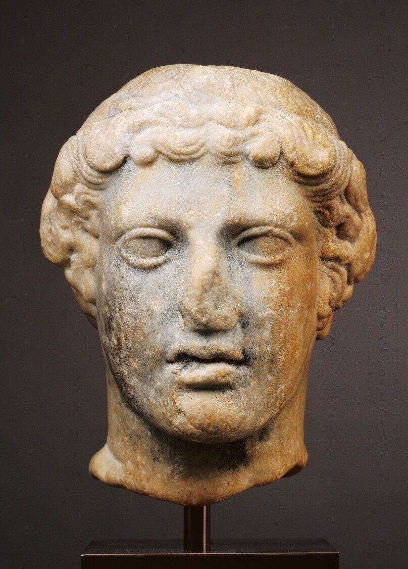 Head of a Youth