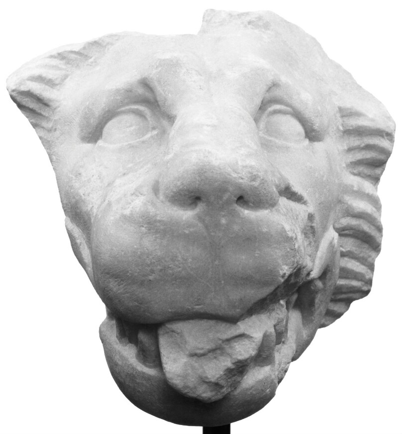Head of a Lion