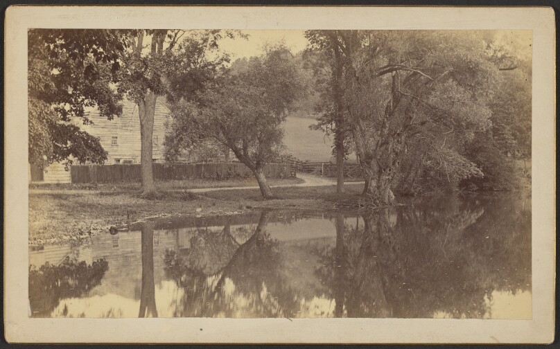 [Silverspring Pond]