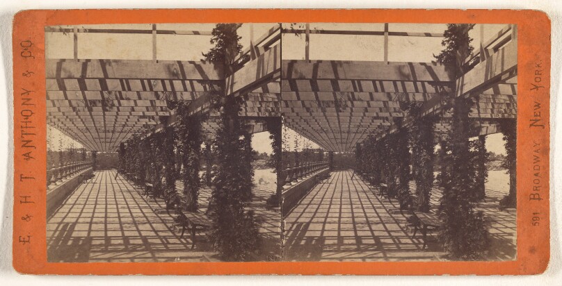 Central Park (New York.) The Vine Clad Arbor.