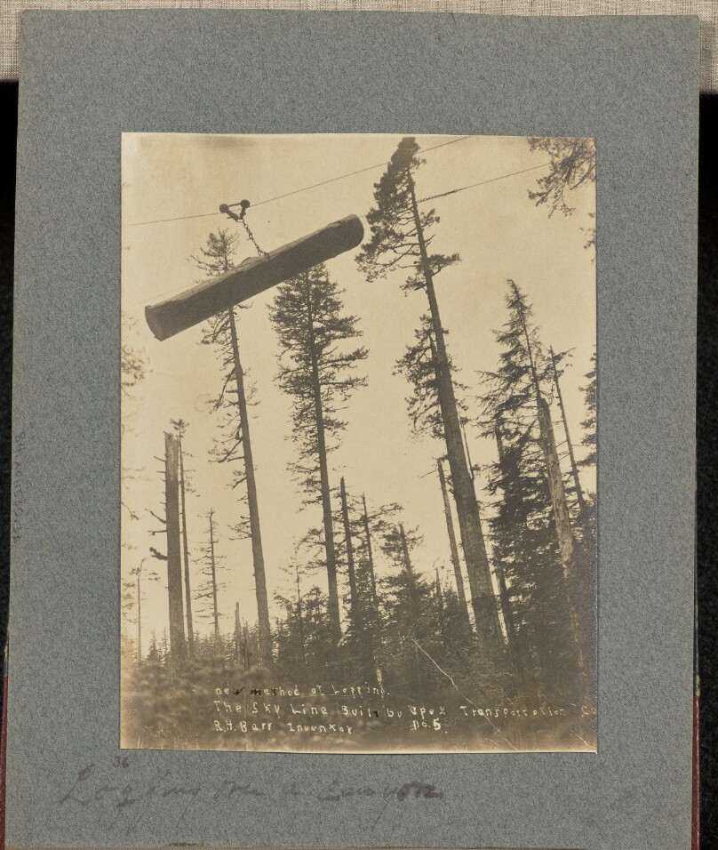 Logging over a canyon