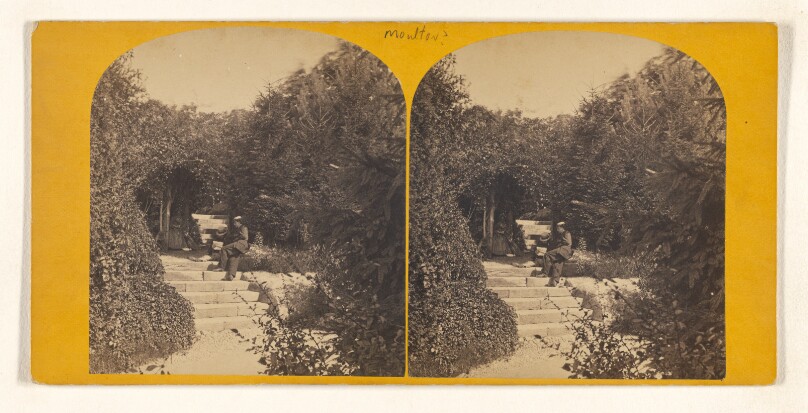 Rustic Arbor in the Ramble. [Central Park, N.Y.]
