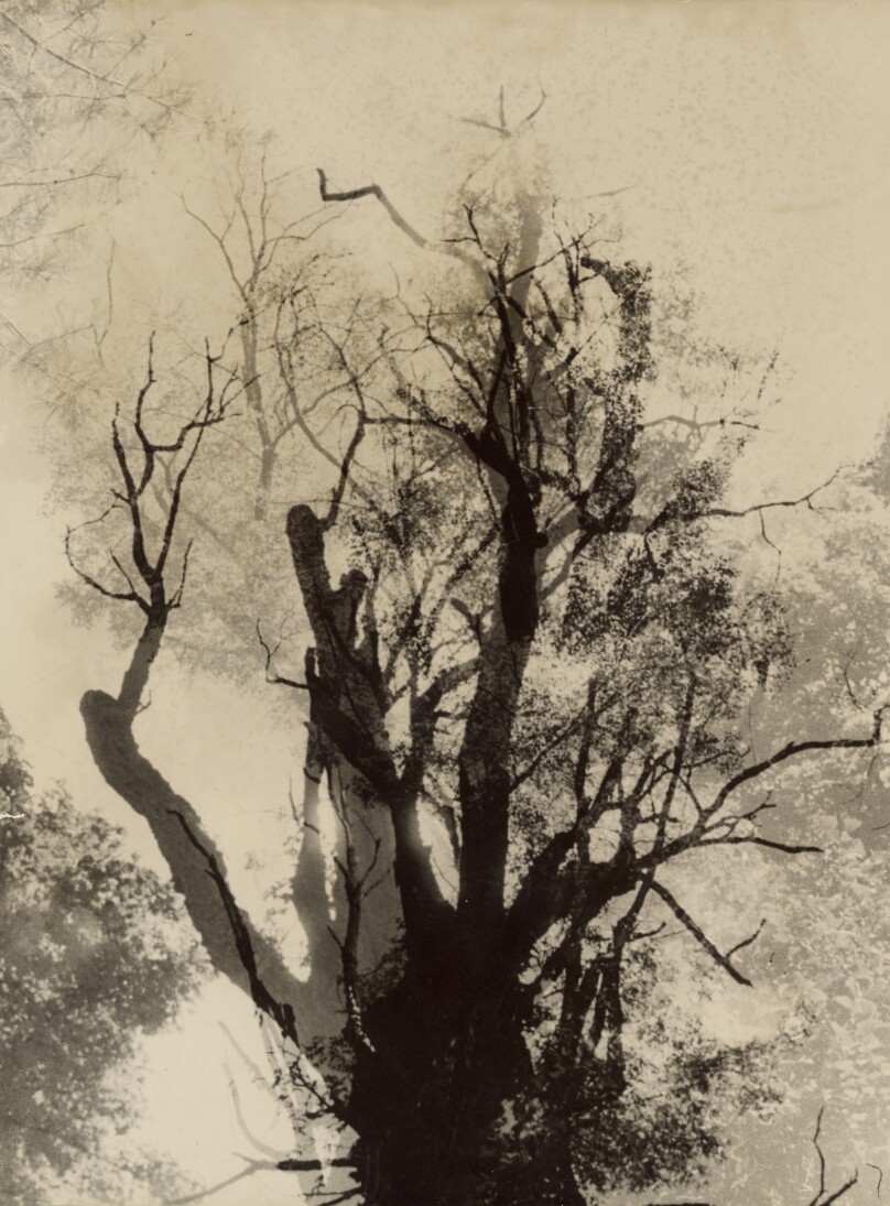 [Tree Abstraction]
