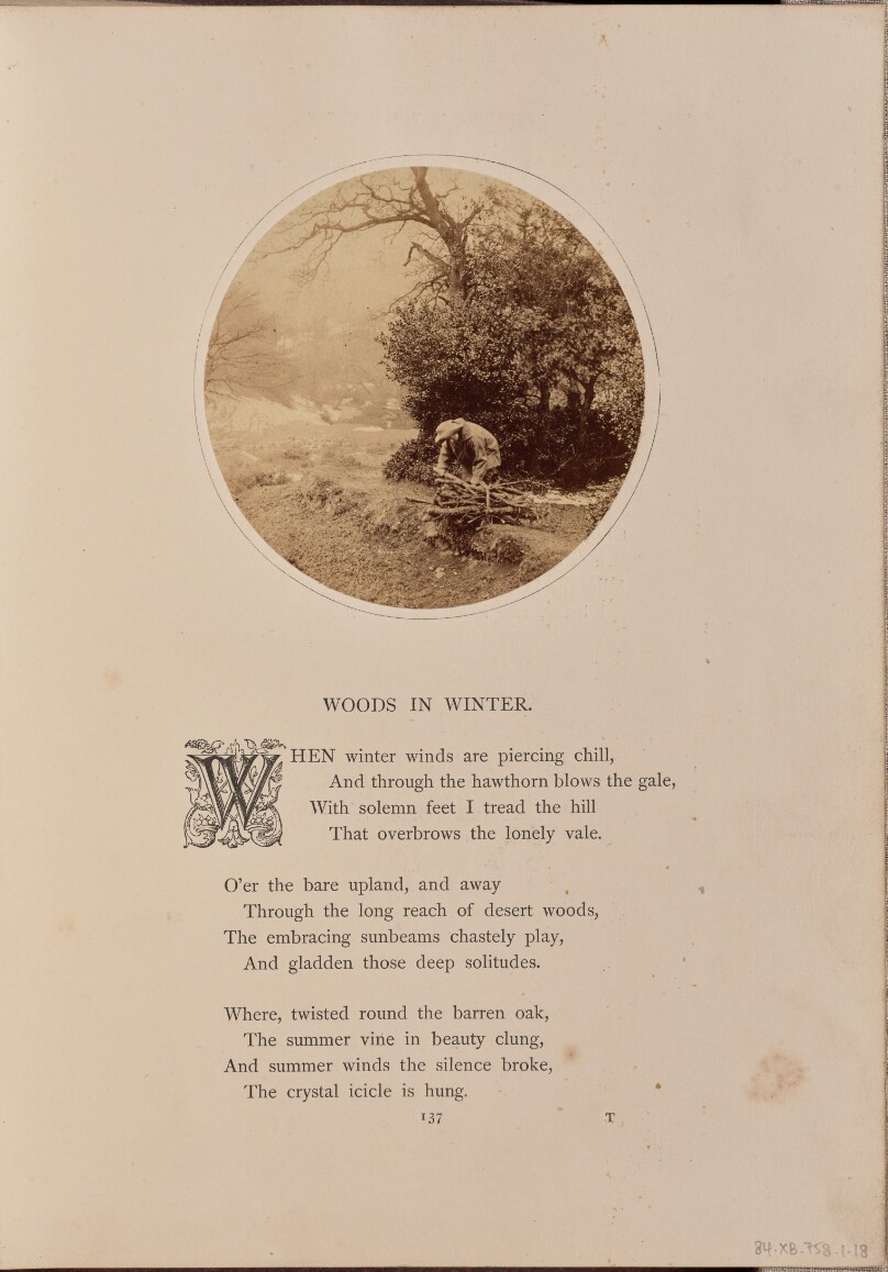 [A man gathering firewood, England]