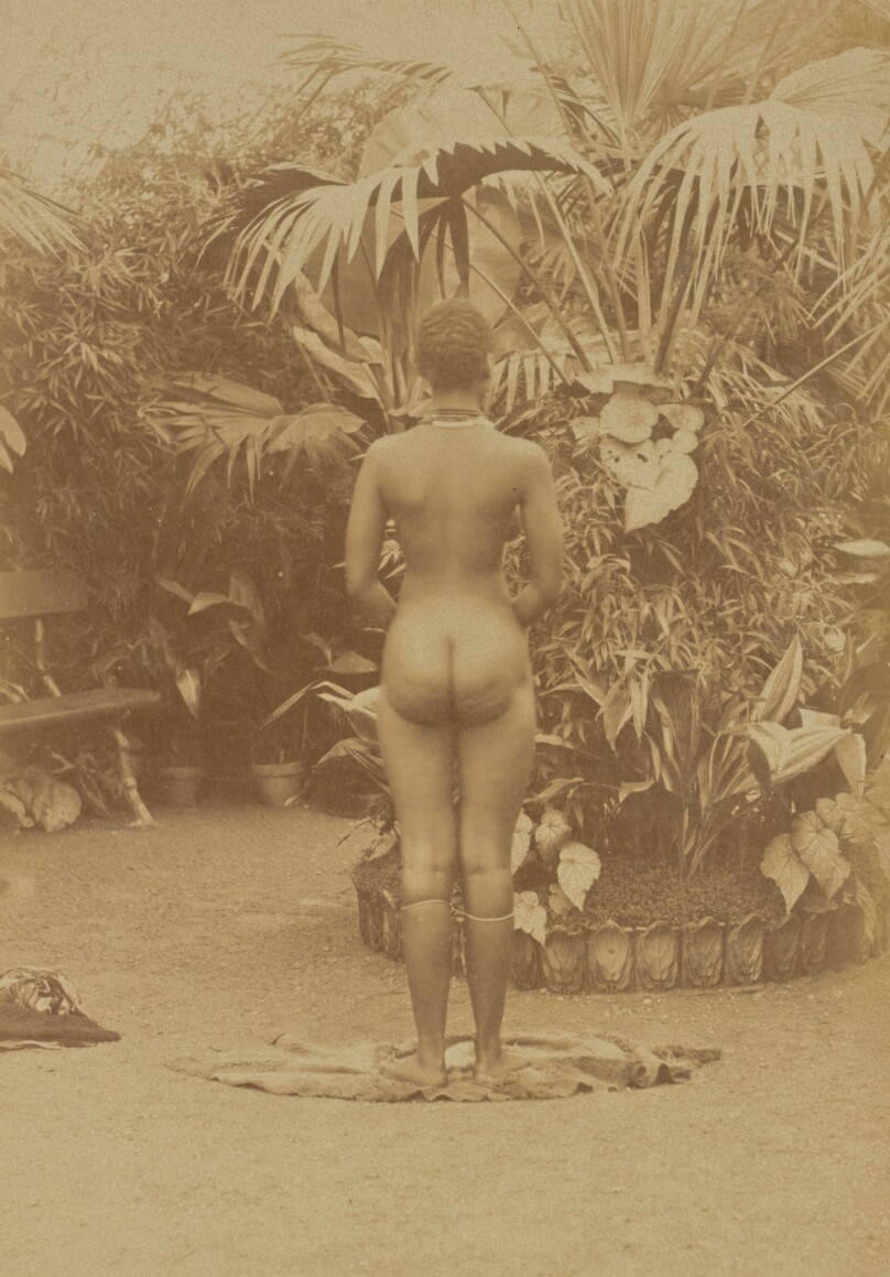 [South African Woman, Nude]