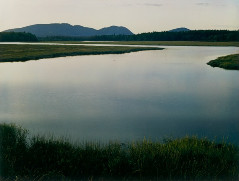 Tidal Marsh, McKinley, Mount Desert Island, Maine