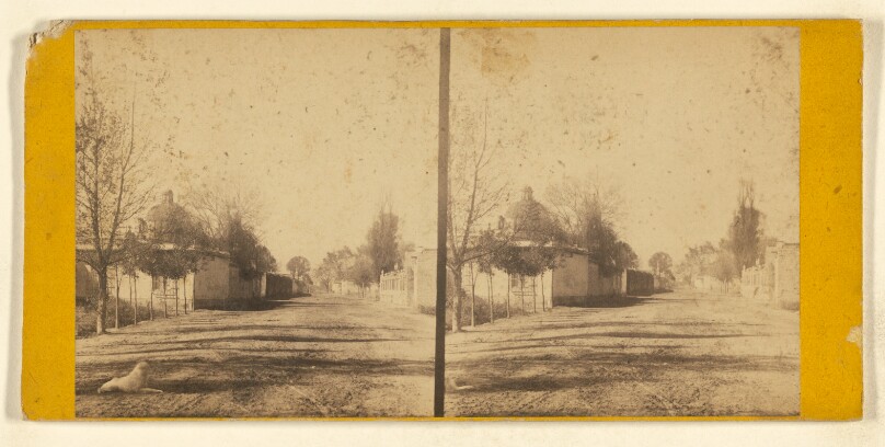 [Calzada de la Piedad]