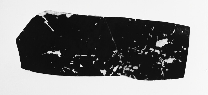 Attic Panathenaic Amphora Fragment (comprised of 2 joined fragments)