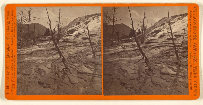 General View of Upper Basins. [Mammoth Hot Springs]