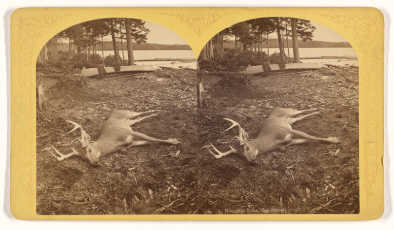 At Raquette Lake, September, 1879.