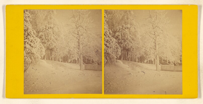 Ice Grove. [Niagara]