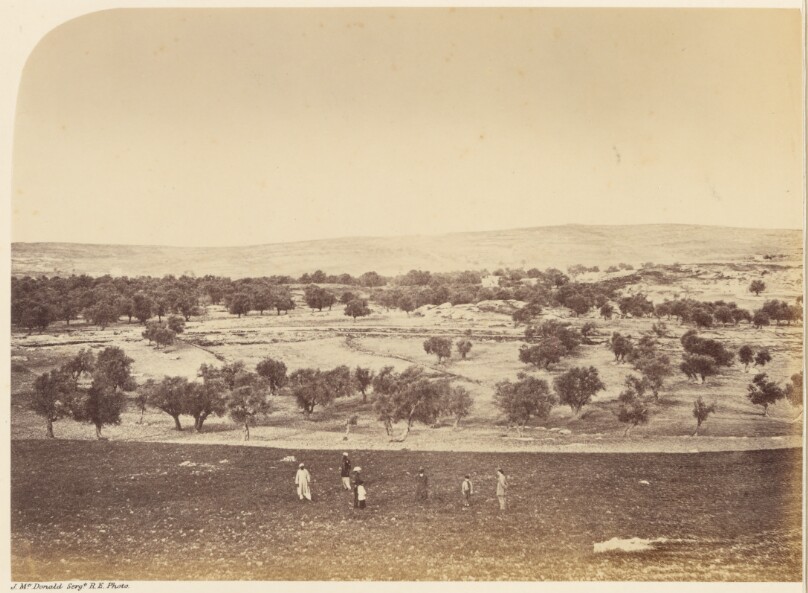 Panoramic View of the City: General View of the City &c. from the North