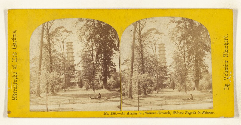 An Avenue in Pleasure Grounds, Chinese Pagoda in distance. [Kew Gardens]