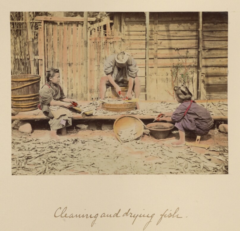 Cleaning and Drying Fish