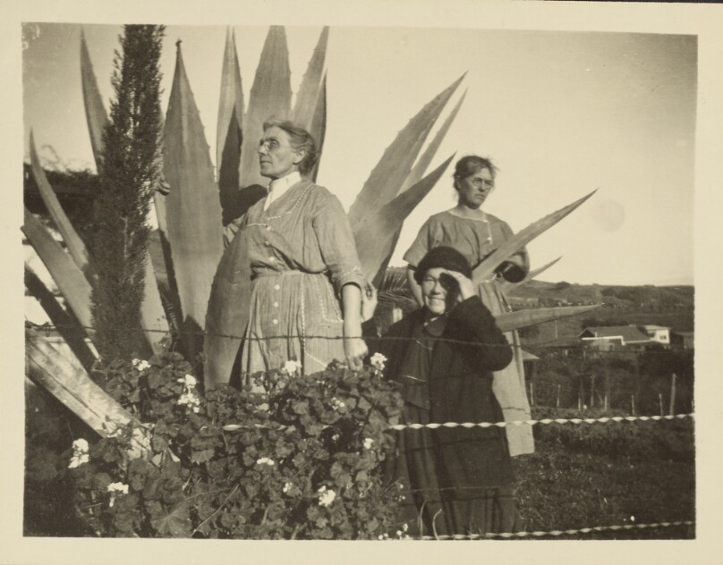 [Three women around large plant]