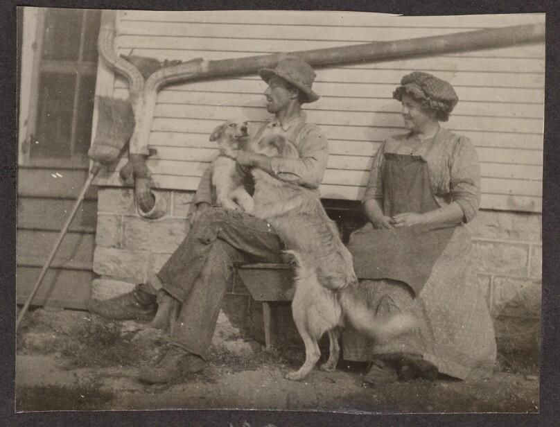 [Man and woman with dogs]