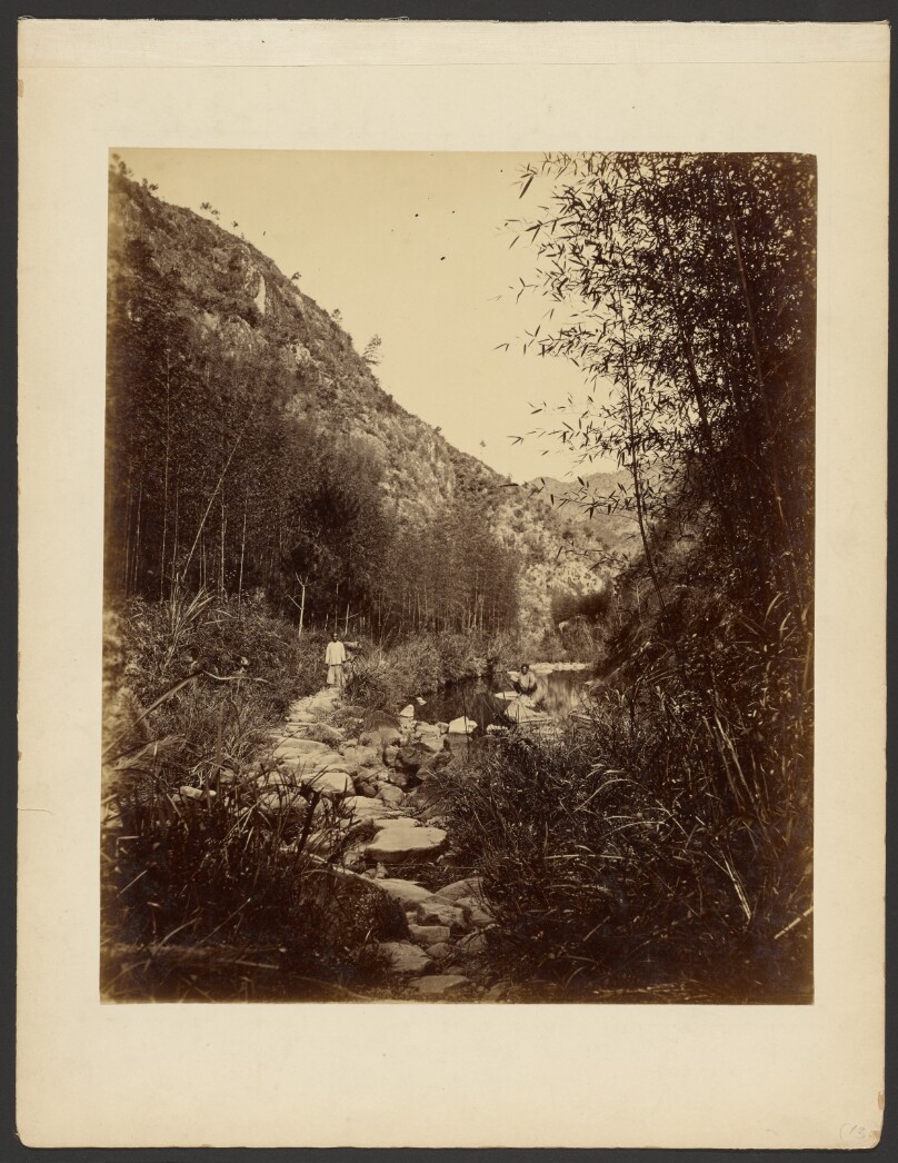 [Path between mountain and pond]