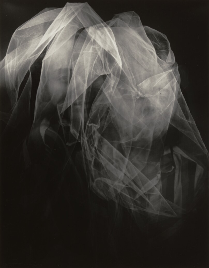 Untitled (tulle)