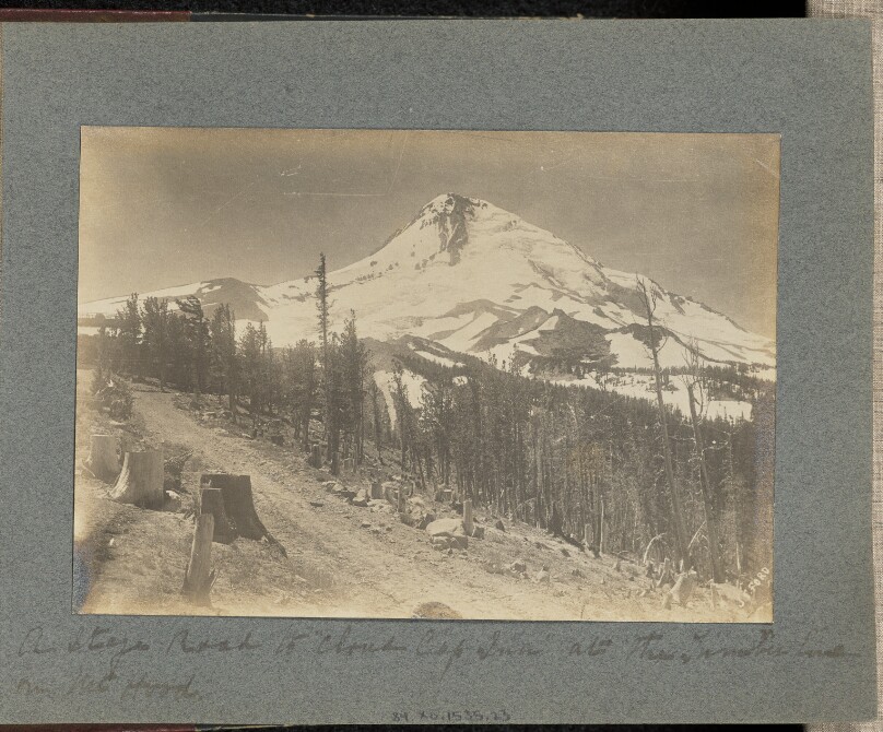 A Stage Road to "Cloud Cap Turn" at the Timber Line on Mount Hood