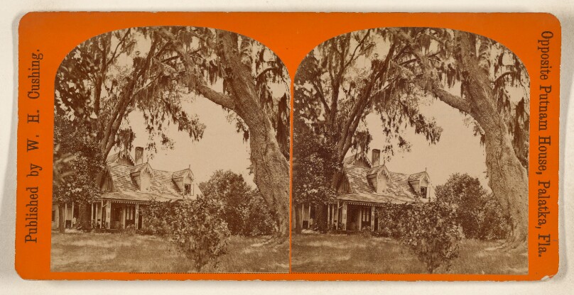 Mrs. H[arriet] B[eecher] Stowe's Place, At Mandarin, on St. John's River.