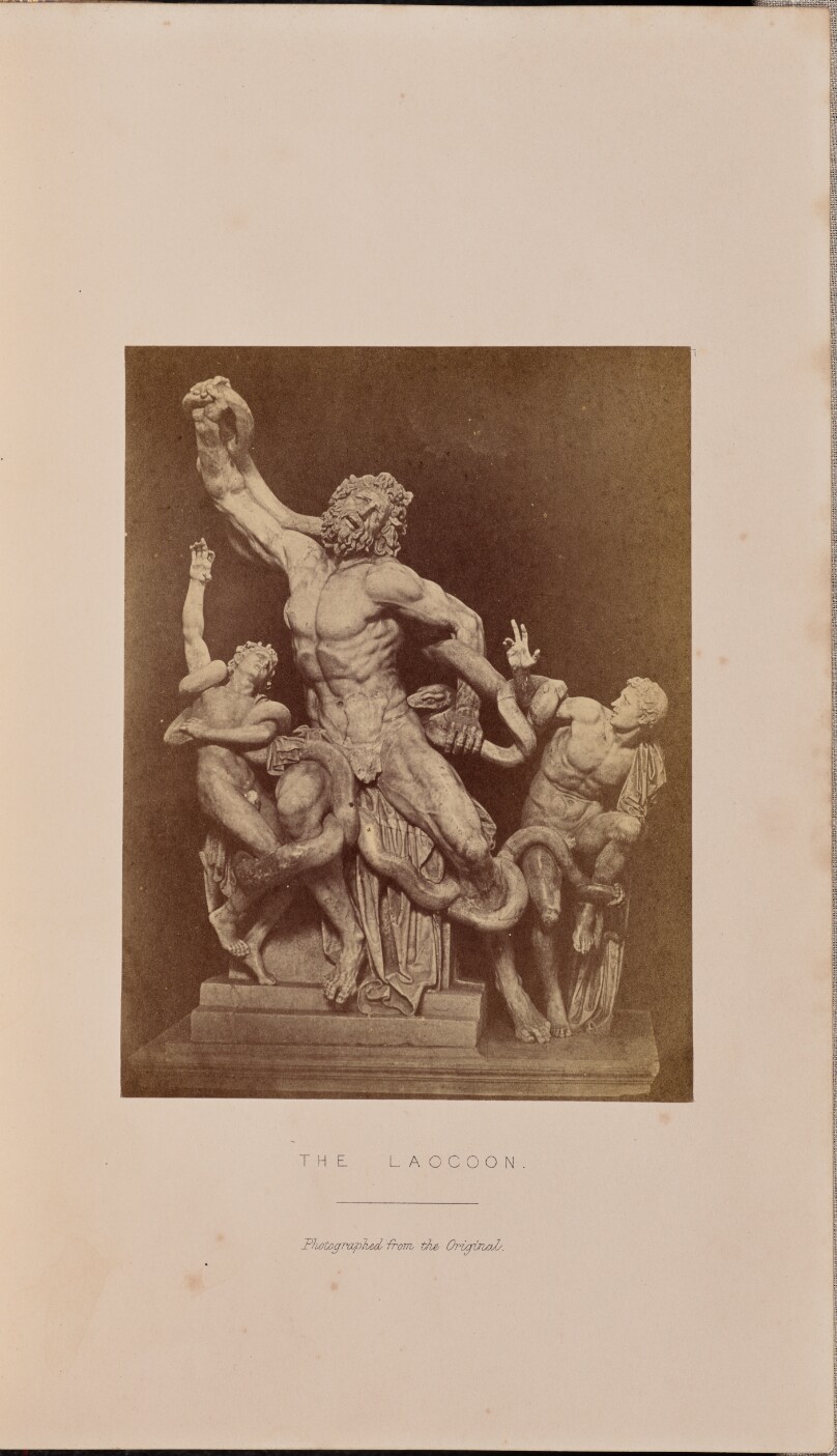 The Laocoon