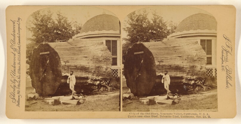 Chip of the Old Block. Yosemite Valley, California, U.S.A.