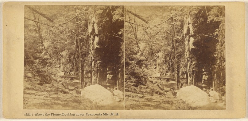 Above the Flume, Looking down, Franconia Mts., N.H.