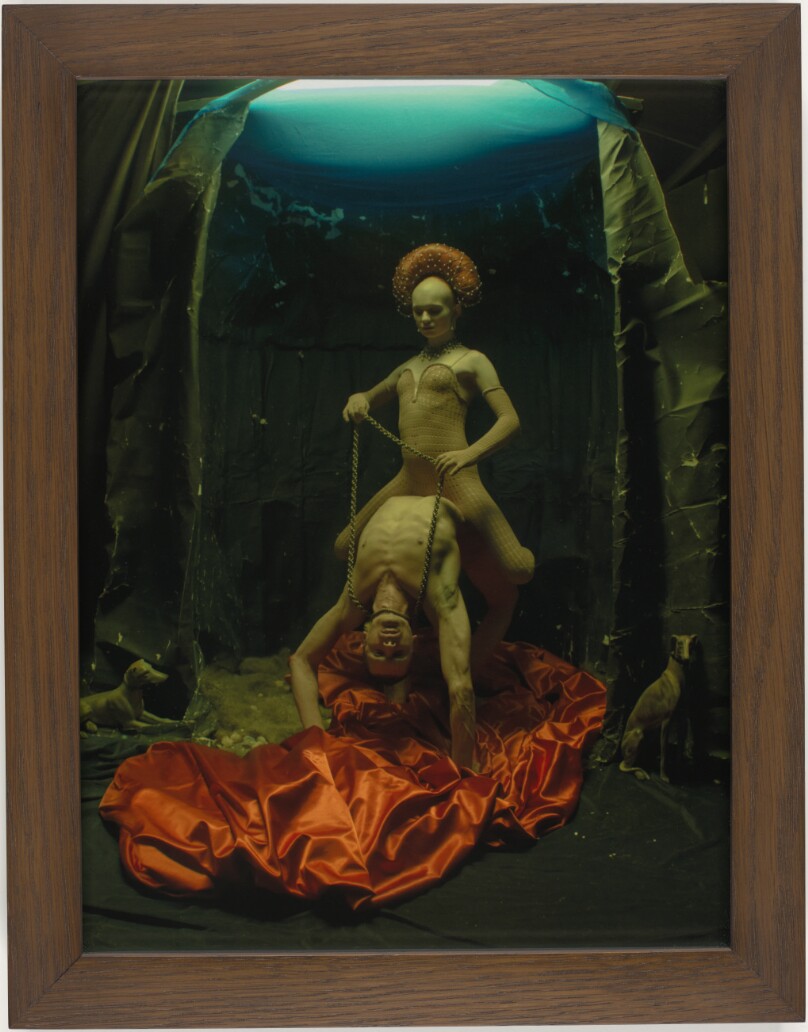 Salvia riding Lewis Walker on Rust Satin, London