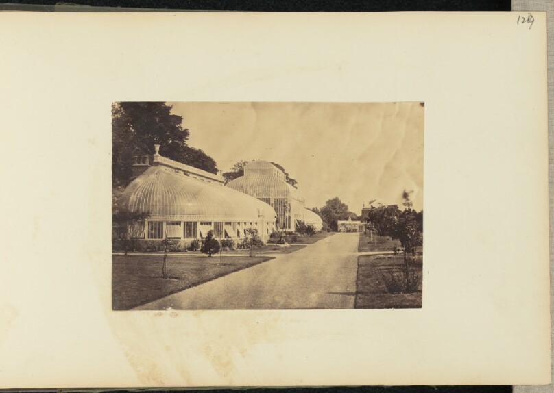 [Glass conservatory]