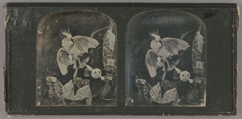 [Still life with parrot, large vase, and objet d'art]