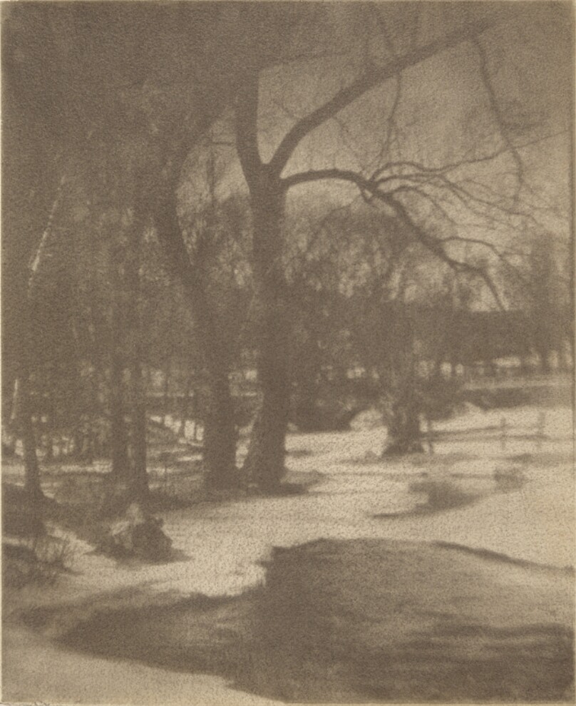 Winter Landscape