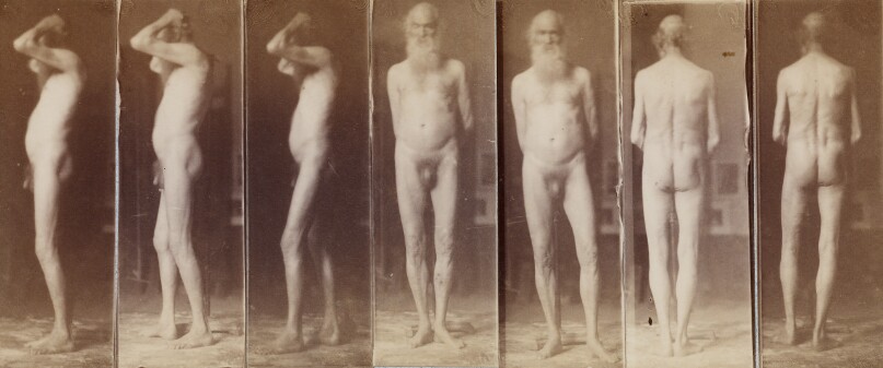 Naked Series: Old Man