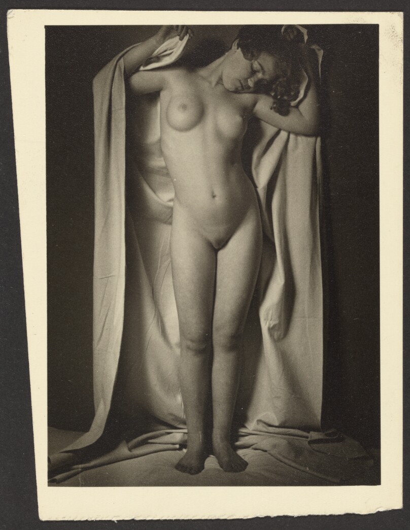 [Female nude]