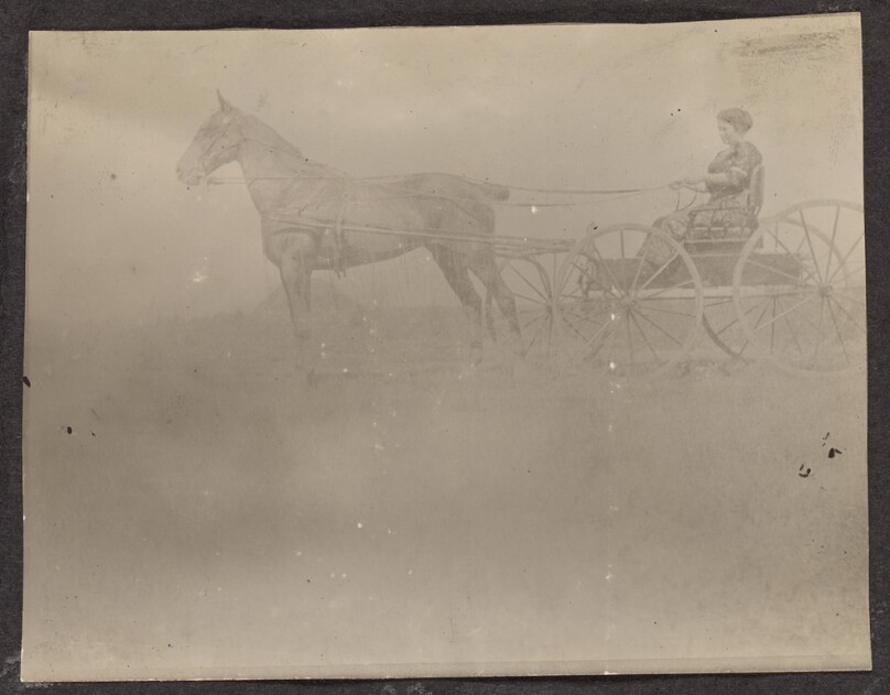 [Woman in a horse-drawn carriage]