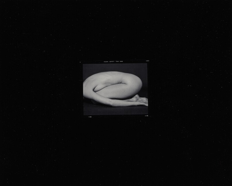 Egg