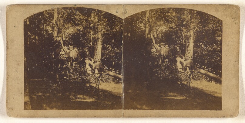 [Group of children seated on a long tree branch]