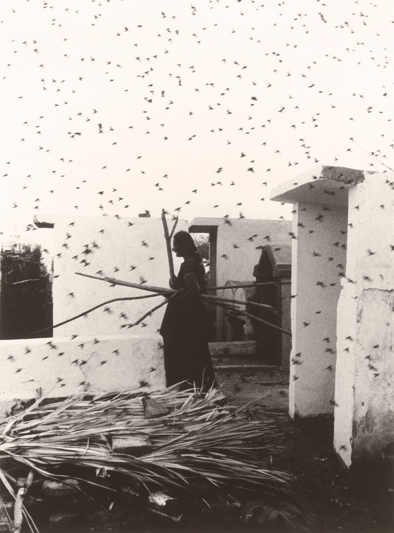 Cementario, Juchitán, Oaxaca