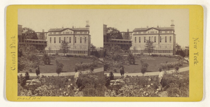 The Art Gallery. [Central Park, New York]